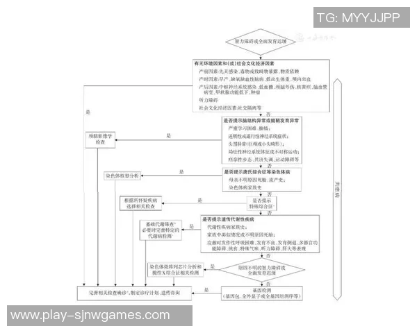 专业解析LNG盯防策略与战术运用的全面指南
