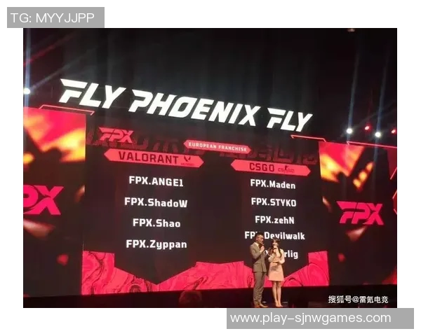 聚焦FPX战队在CSGO中的团队配合与战术分析探讨